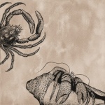 Vintage Crabs Illustration