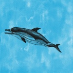Vintage Dolphin Illustration