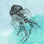 Vintage Jellyfish Illustration