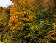 New England Fall
