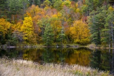 New England Fall Lake