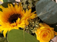 Sunflower And Rose