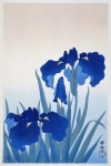 Iris Flower Art Vintage