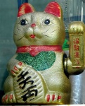 Maneki Neko Cat