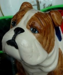 Ornamental Ceramic Bulldog