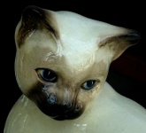 Ornamental Ceramic Cat