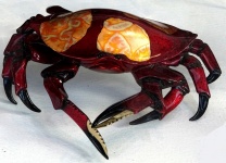Ornamental Crab