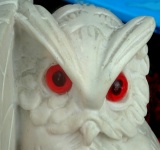 Ornamental Owls Head