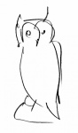 Owl. Outline Sketch