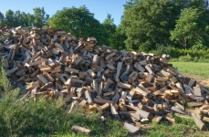 Pile Of Chopped Wood.
