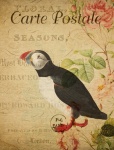 Puffin Floral French Postcard