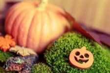 Pumpkin Fall Display