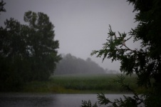 Rain Storm