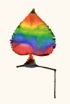 Rainbow Leaf