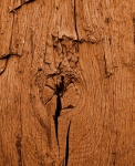 Rough Knotted Wood Background
