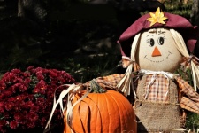Scarecrow And Pumpkin Close-up