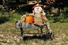 Scarecrow And Pumpkin In Cart