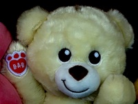 Soft Cuddly Plush Toy Bear