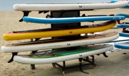 Surf Paddle Boards