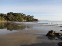 The Beach NZ