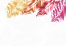 Tropical Palm Leaves Background