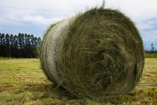 View Of Freshly Cut Bale Of Hay