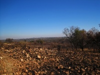 View Over Burnt South African Veld