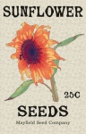 Vintage Sunflower Seeds Poster