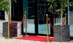 VIP Red Carpet Entrance