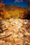 White Mountains In Fall