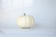 White Pumpkin On White Background