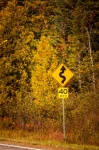 Winding Road Sign In Fall