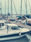 Yachts In Marina