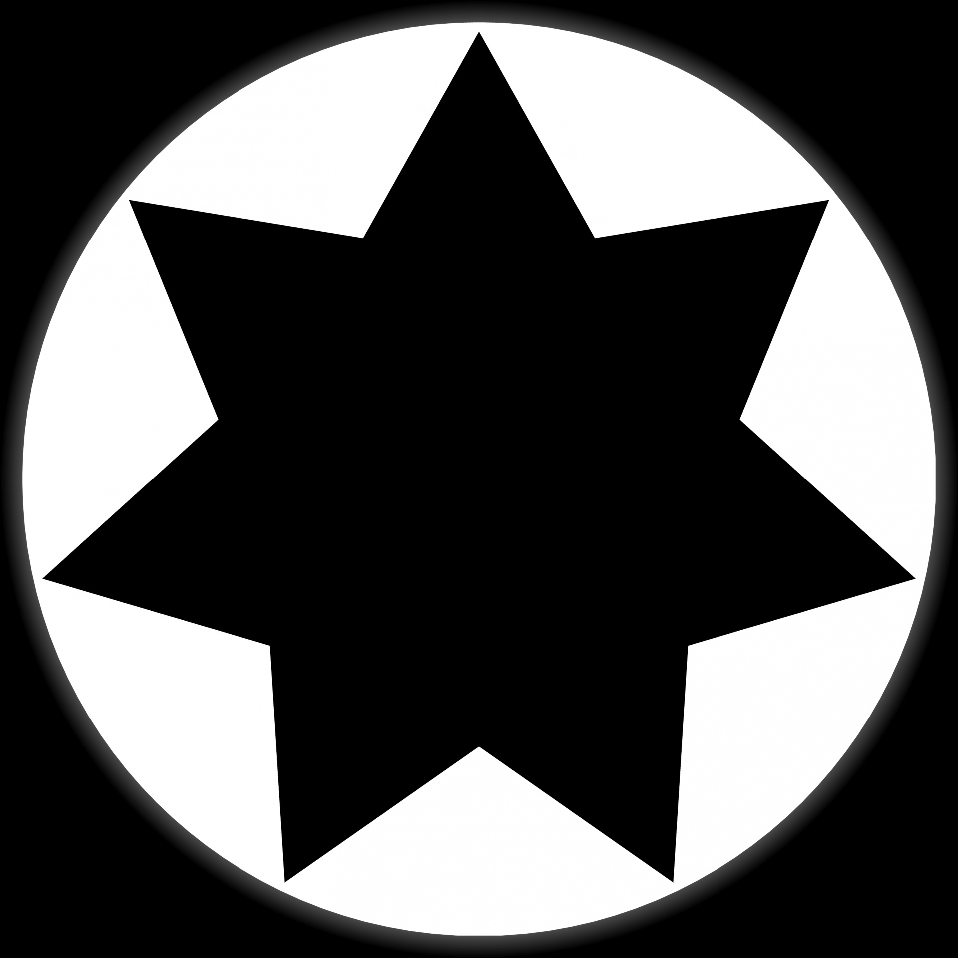 Digital computer graphic - abstract decorative seven-pointed star heptagon in a circle in a black and white colors. The Author - Peshkareva Irina