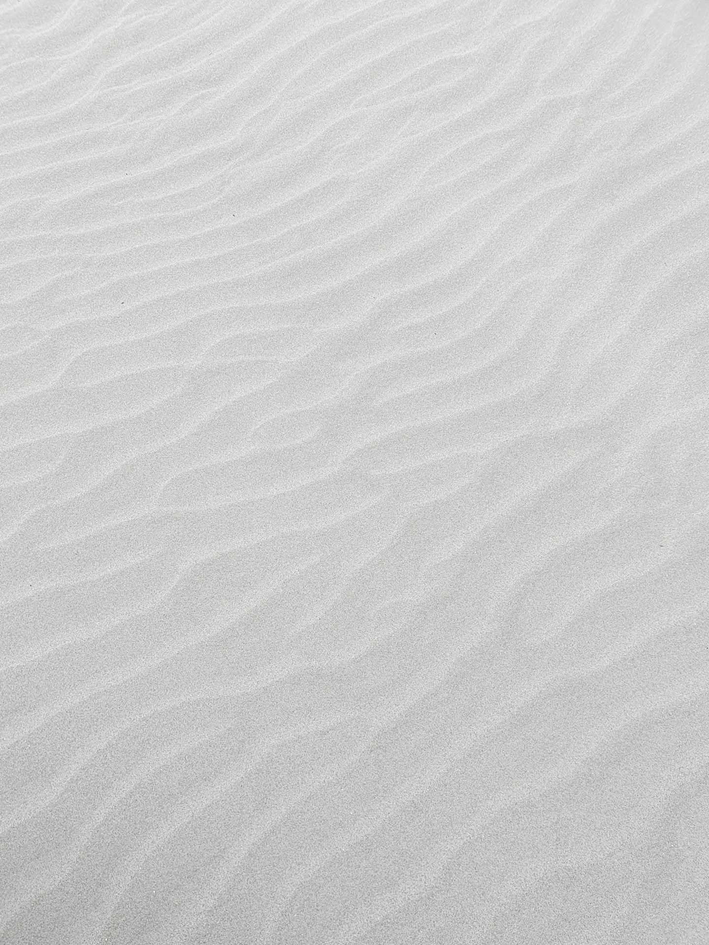 White beach sand background image