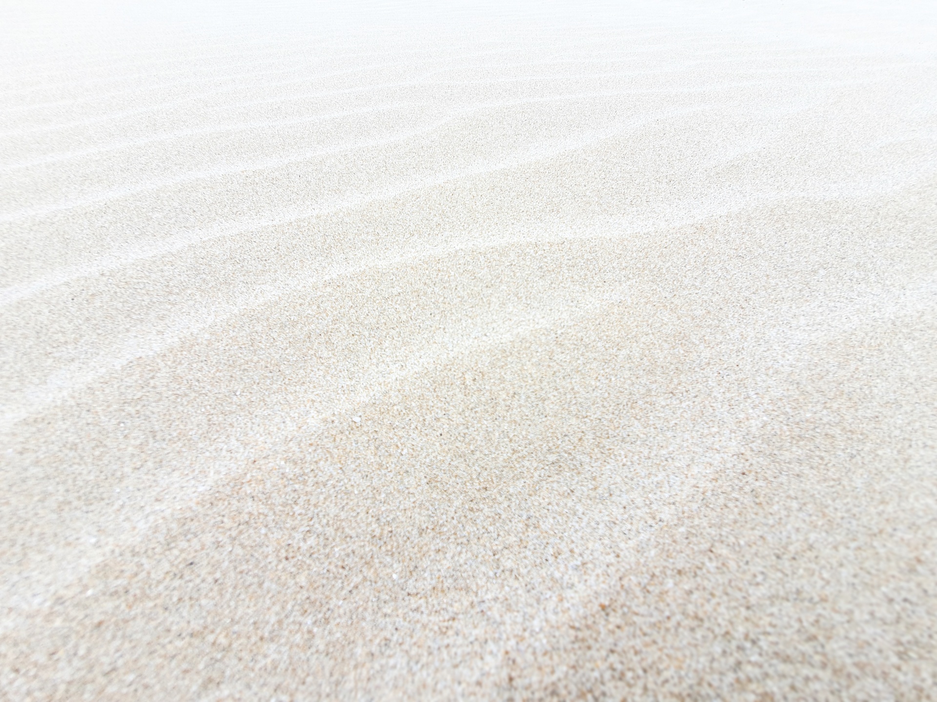 White beach sand background image