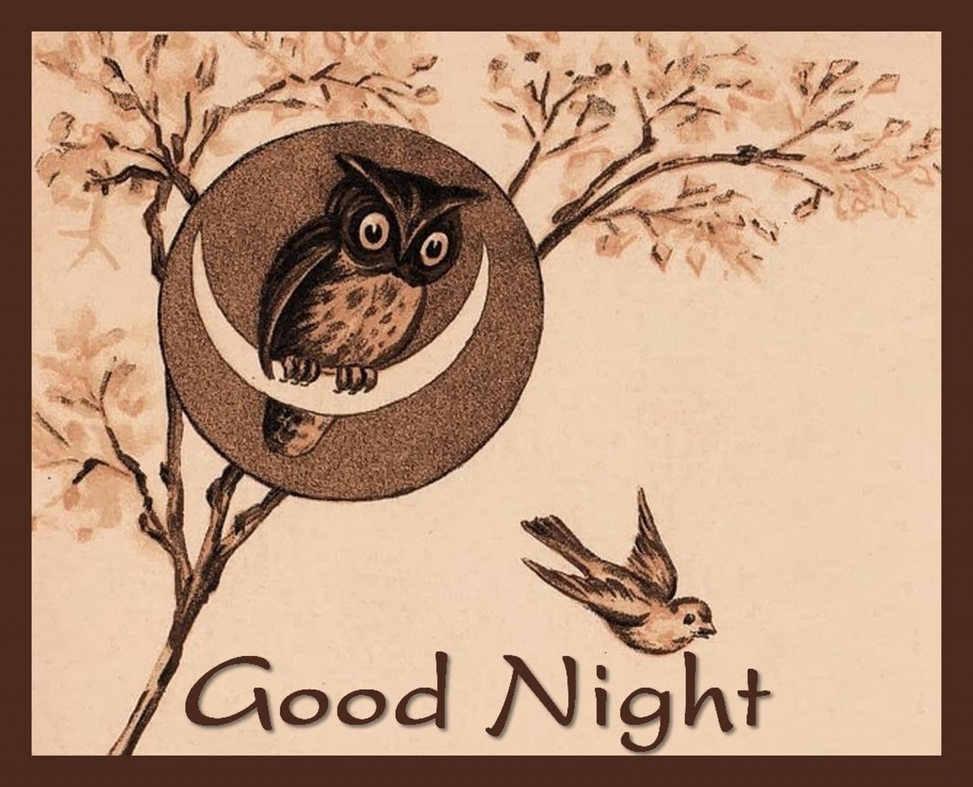 Remix of an old royalty-free drawing of an owl and her cub with the words GOOD NIGHT in shades of beige and brown