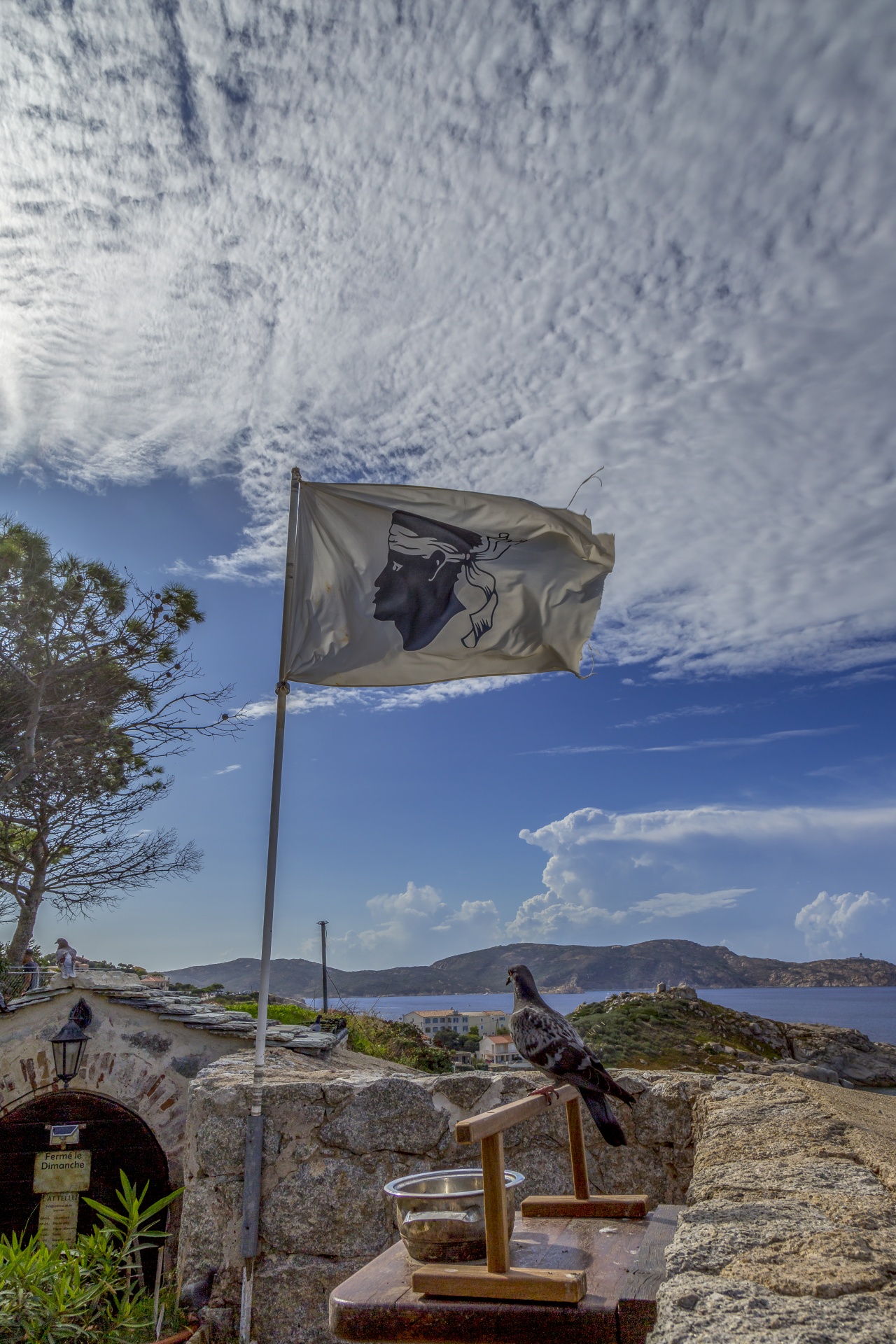 Flag of Corsica was adopted by General of the Nation Pasquale Paoli in 1755 and was based on a traditional flag used previously. It portrays a Moor's head in black wearing a white bandana above his eyes on a white background.