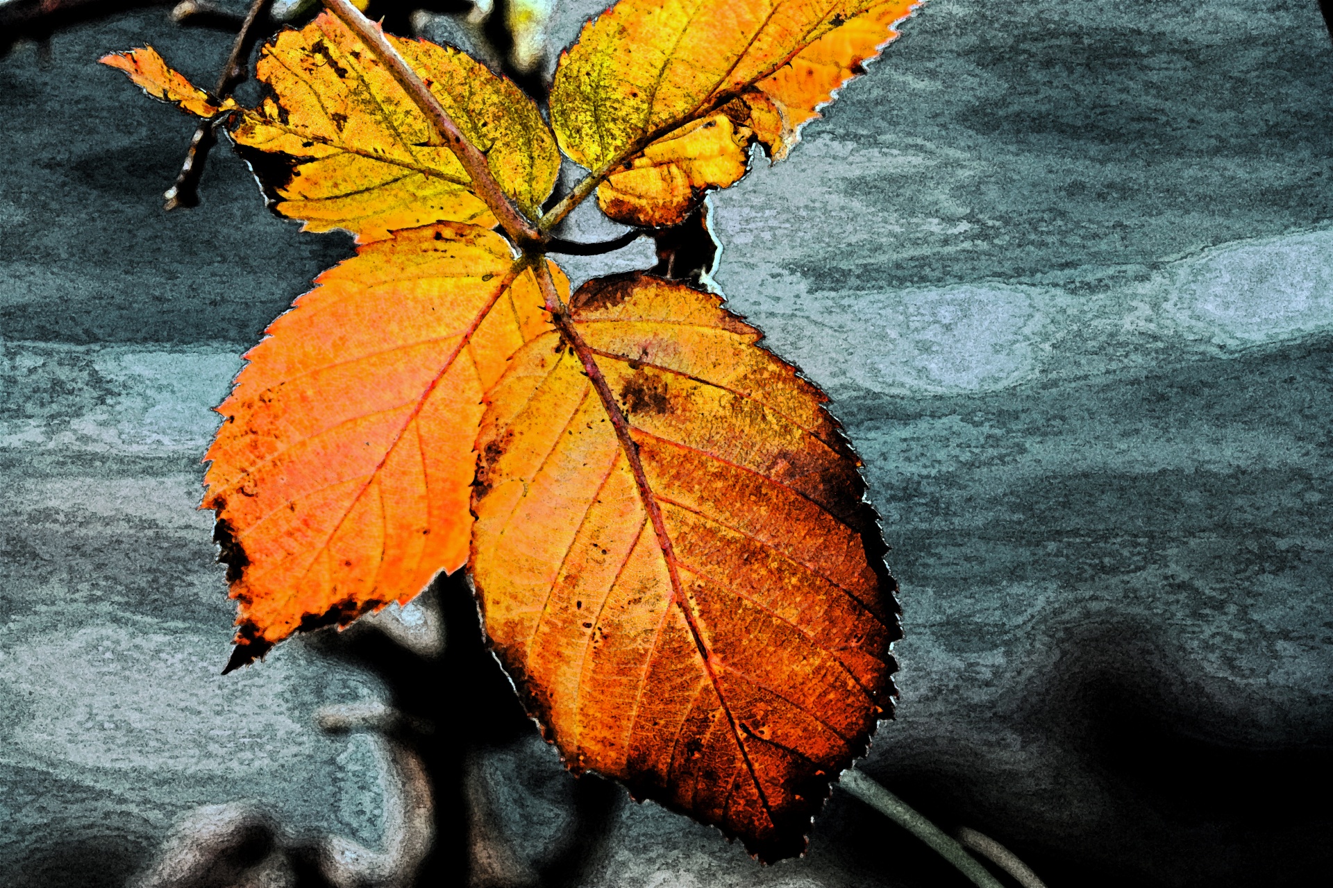 fresco effect on autumn bramble leaves
