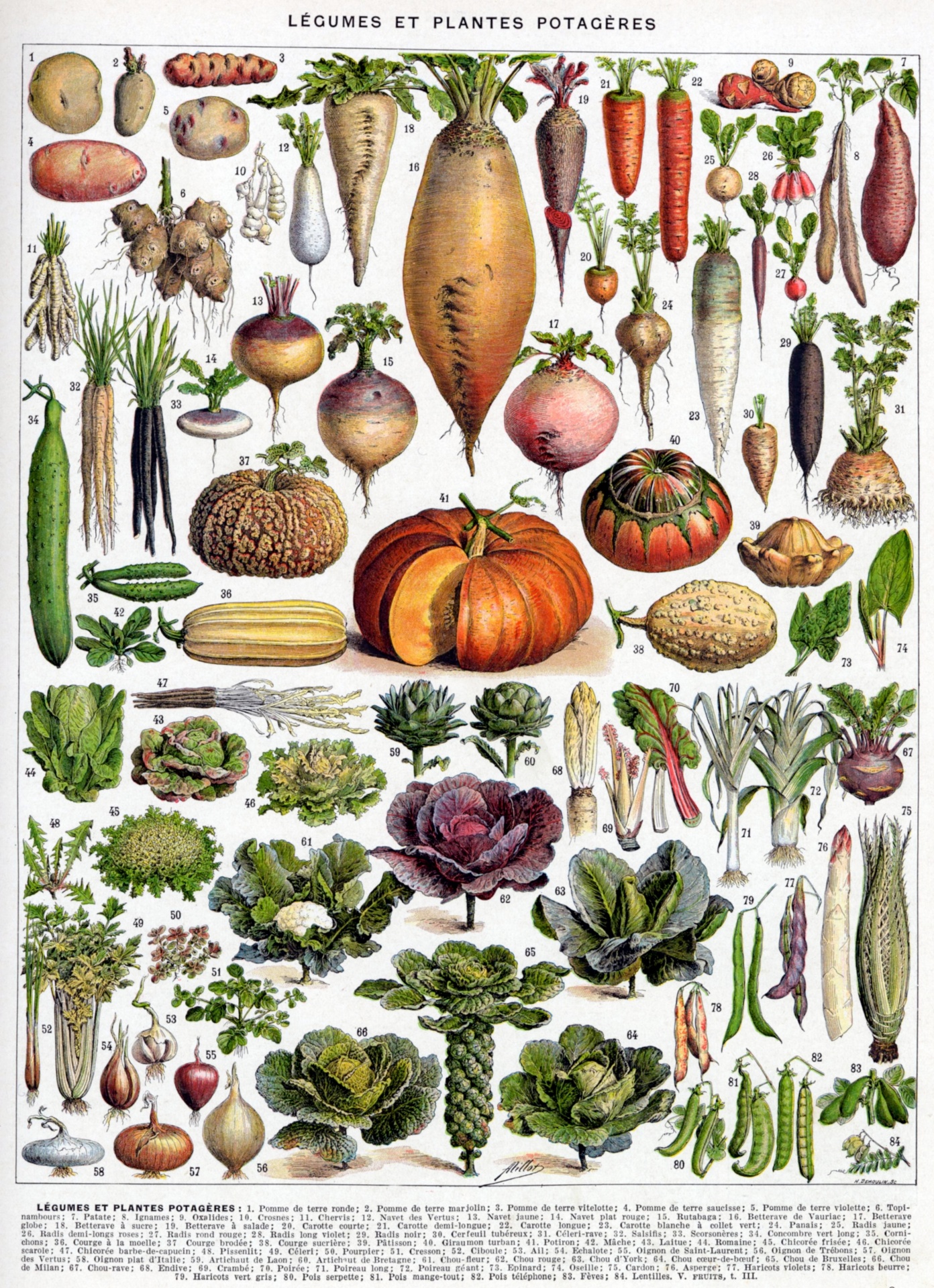 Vegetable Salads Vintage Art