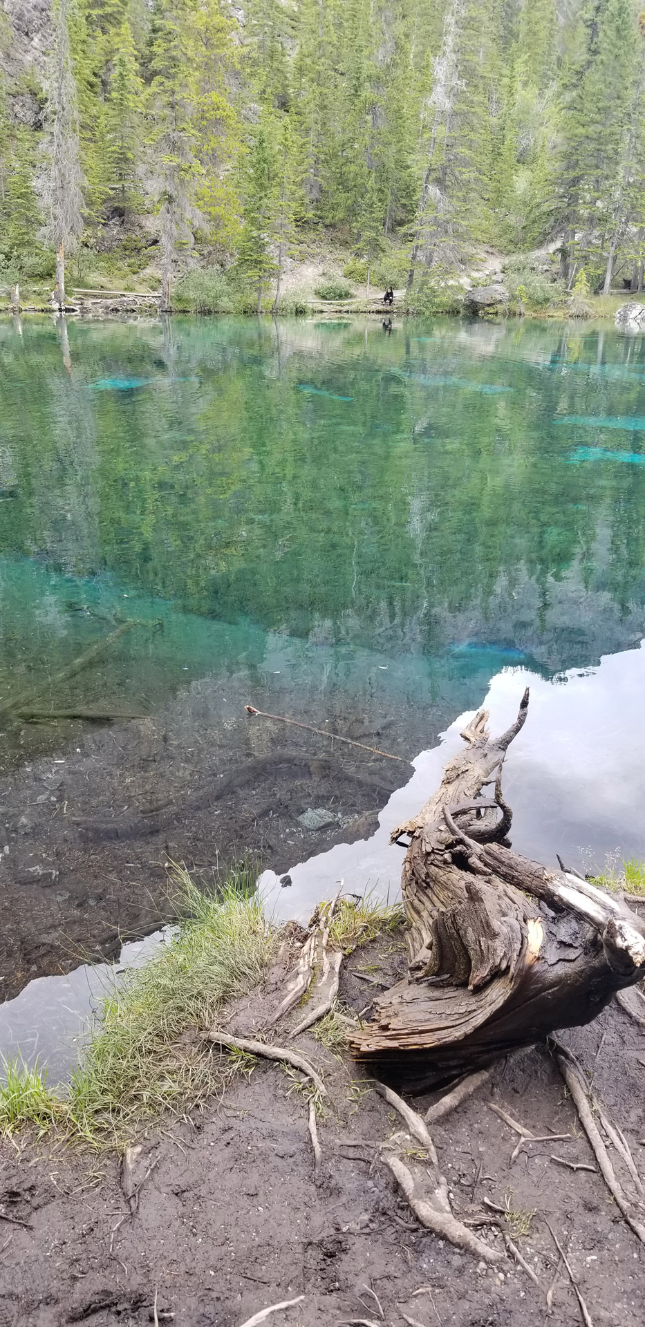 Grassi Lakes In Canmore