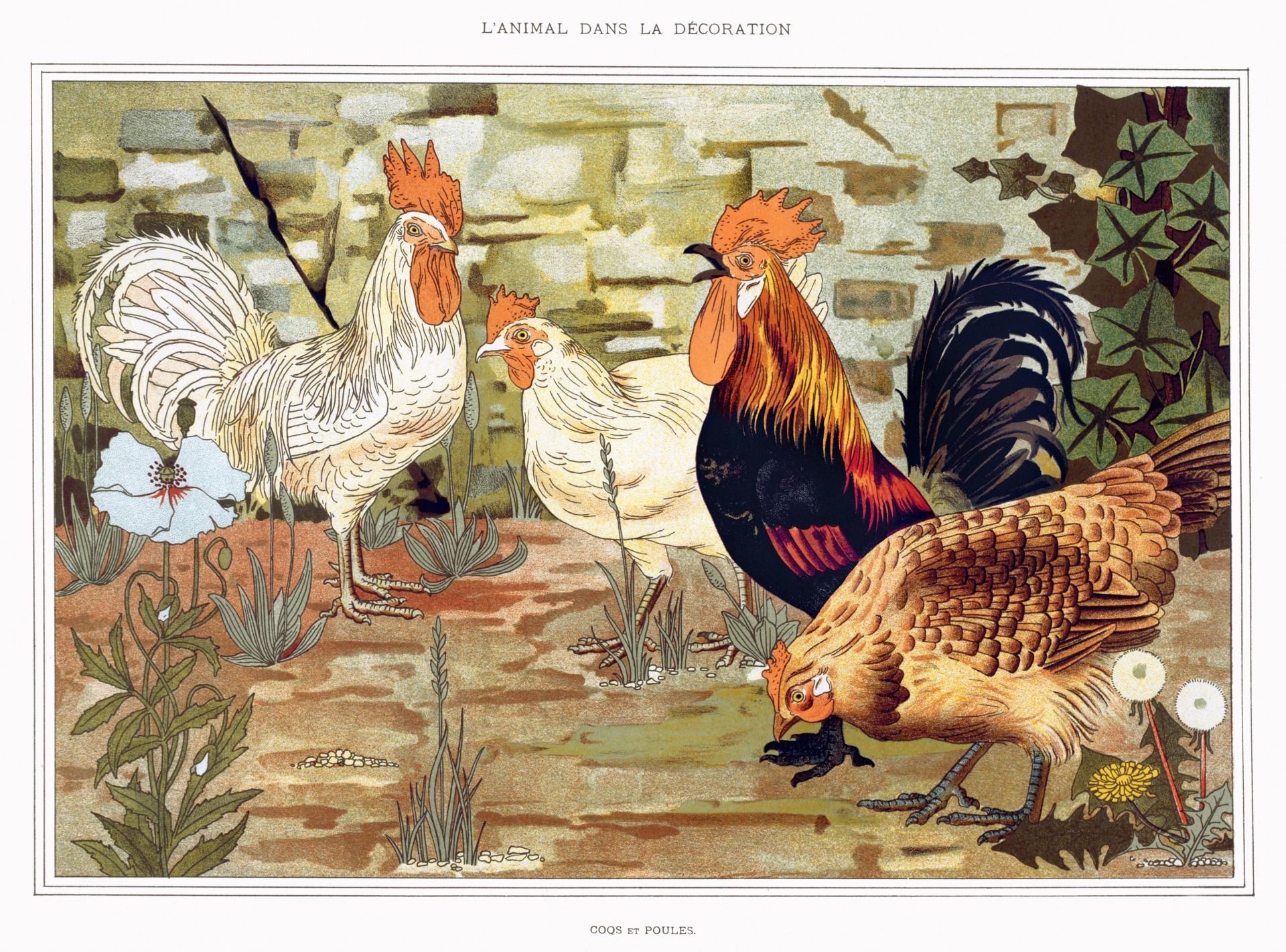 Rooster Chickens Art Vintage