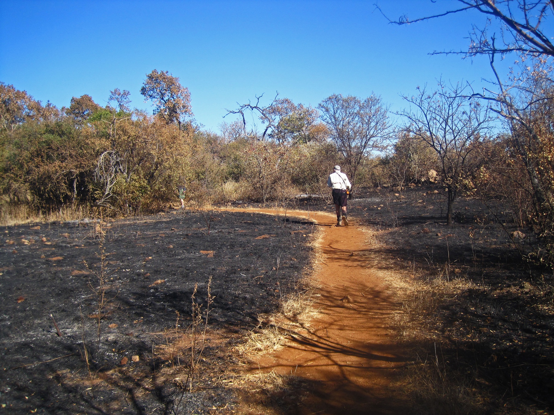 Hiker On A Trail With Burnt Grass