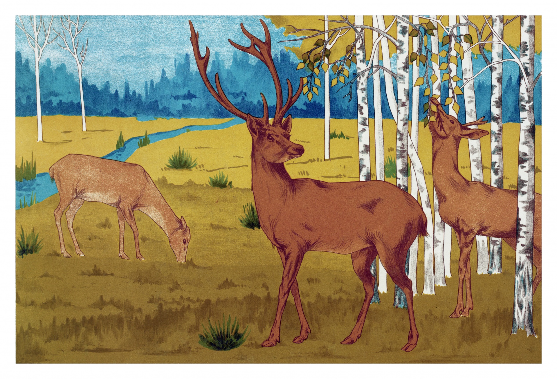 Deer Deer Art Vintage