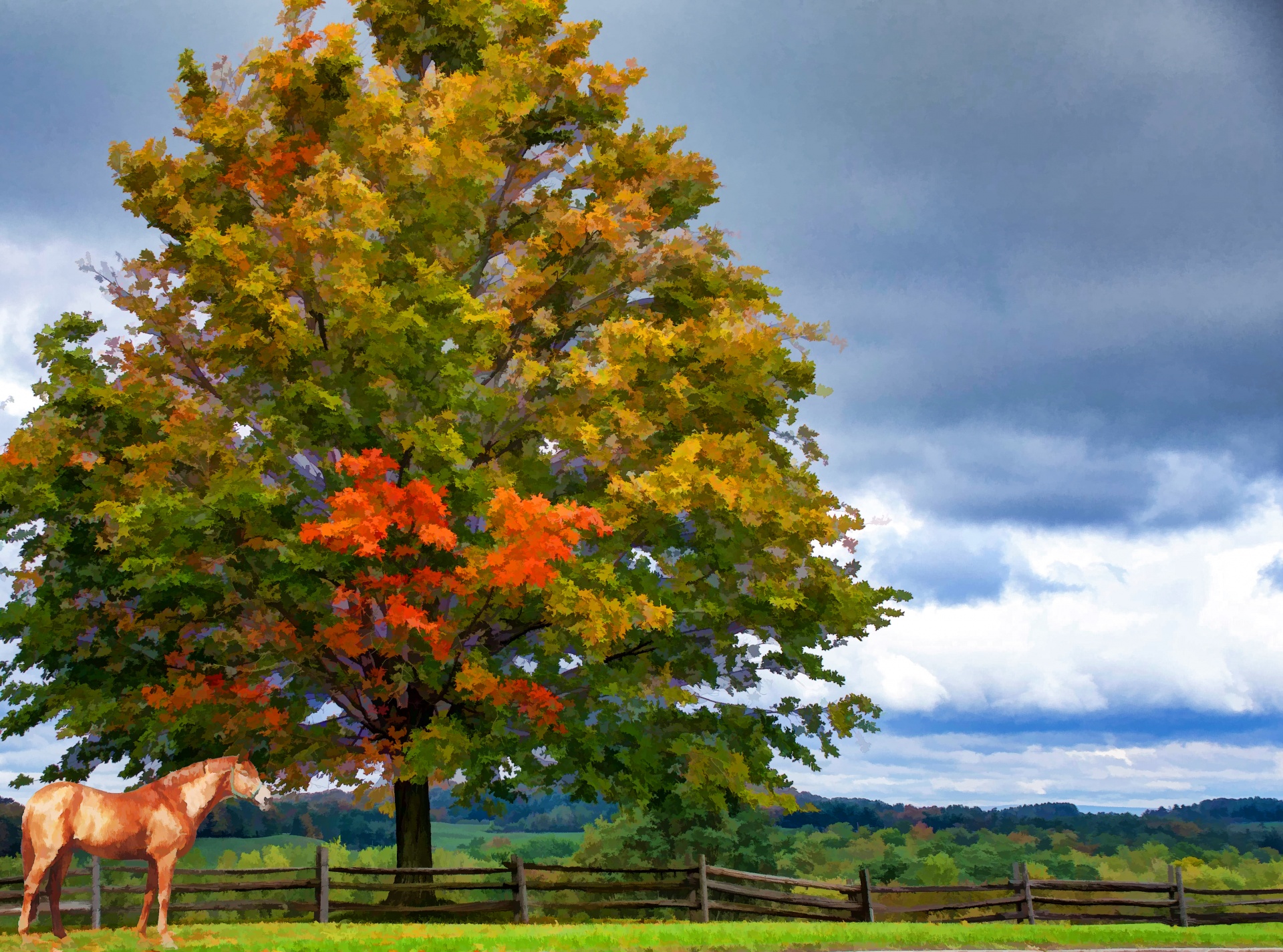 horse in front of a huge tree changing colors in the countryside