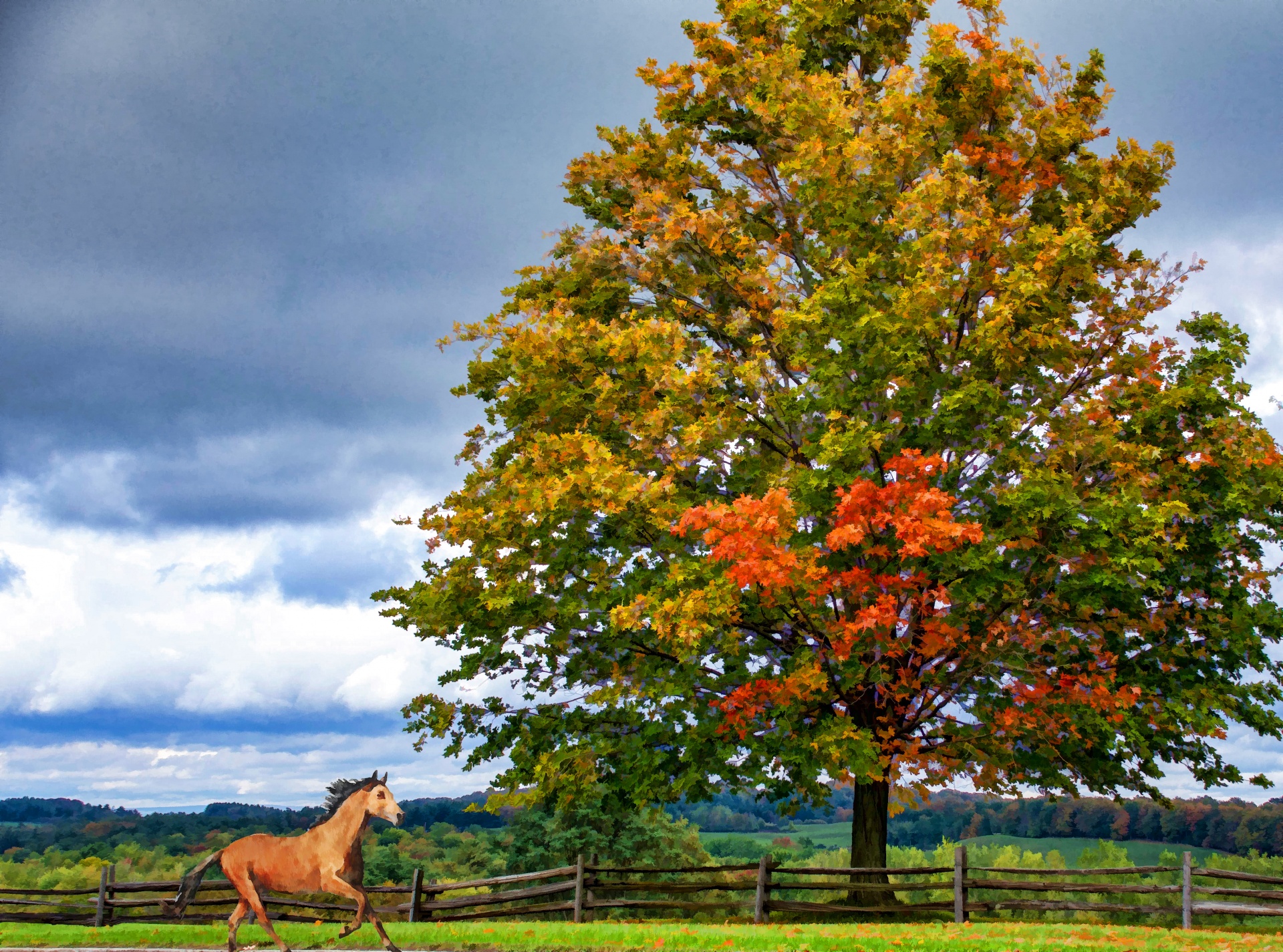 horse in front of a huge tree changing colors in the countryside