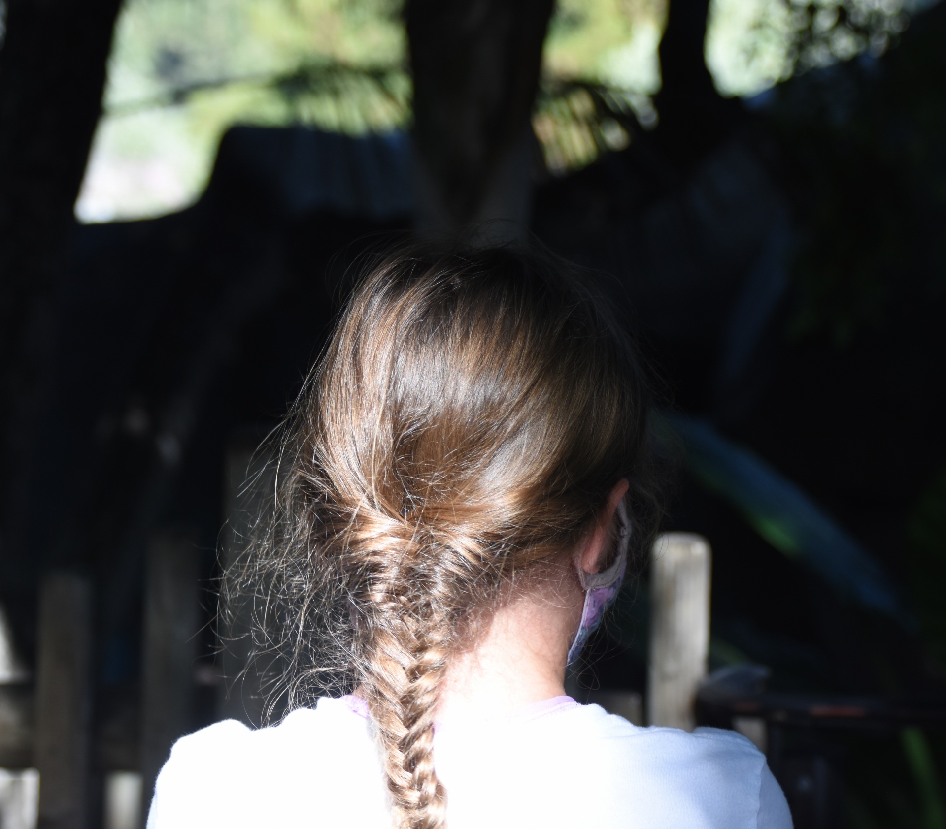 back of a child wearing a masks with braided hair