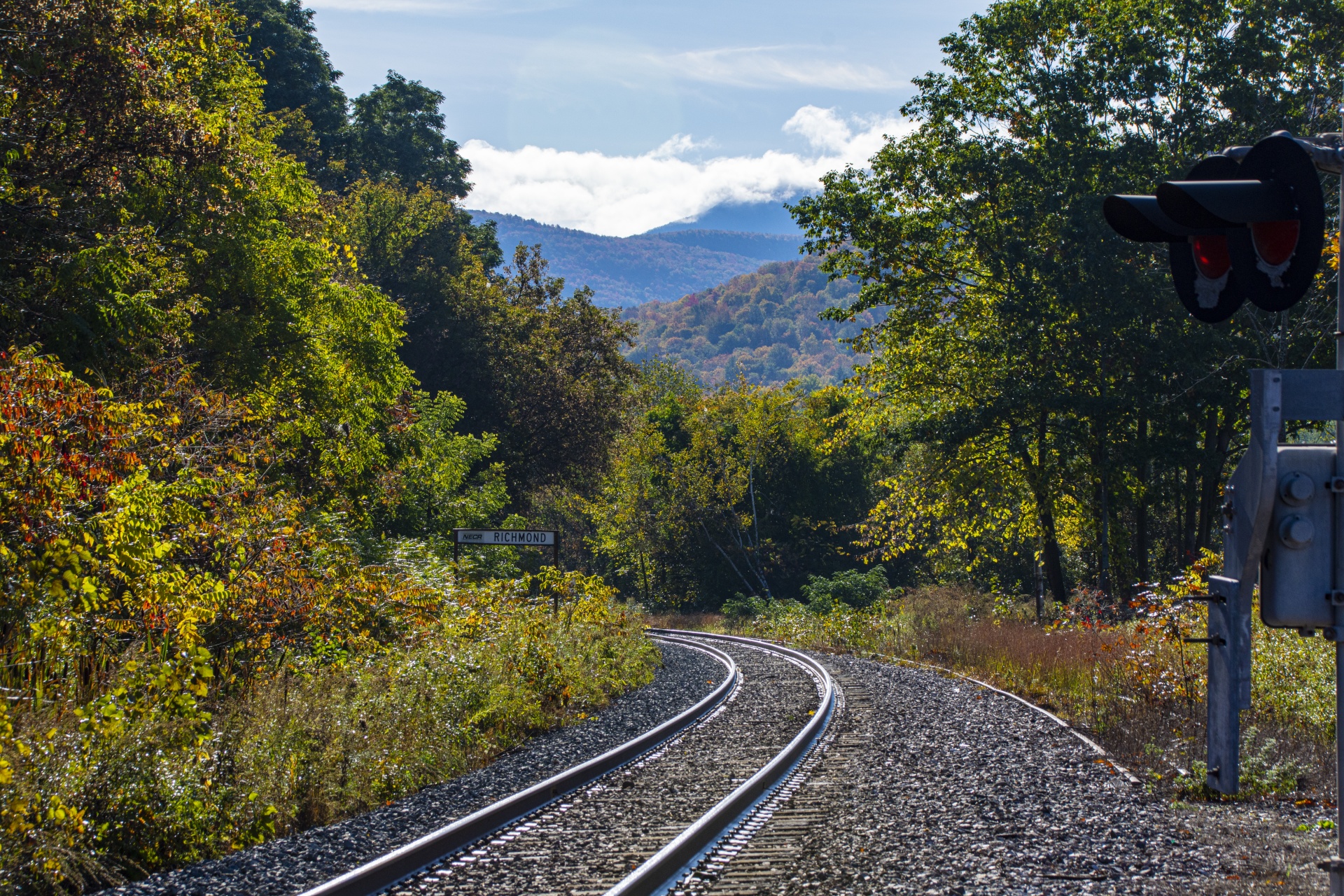 tracks curving into fall foliage trees and forest