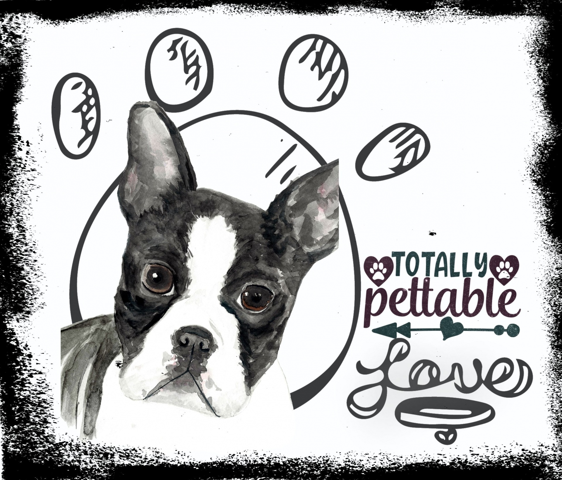 cute black and white Boston Terrier puppy within aline drawing of a paw and words Totally Pettable Love