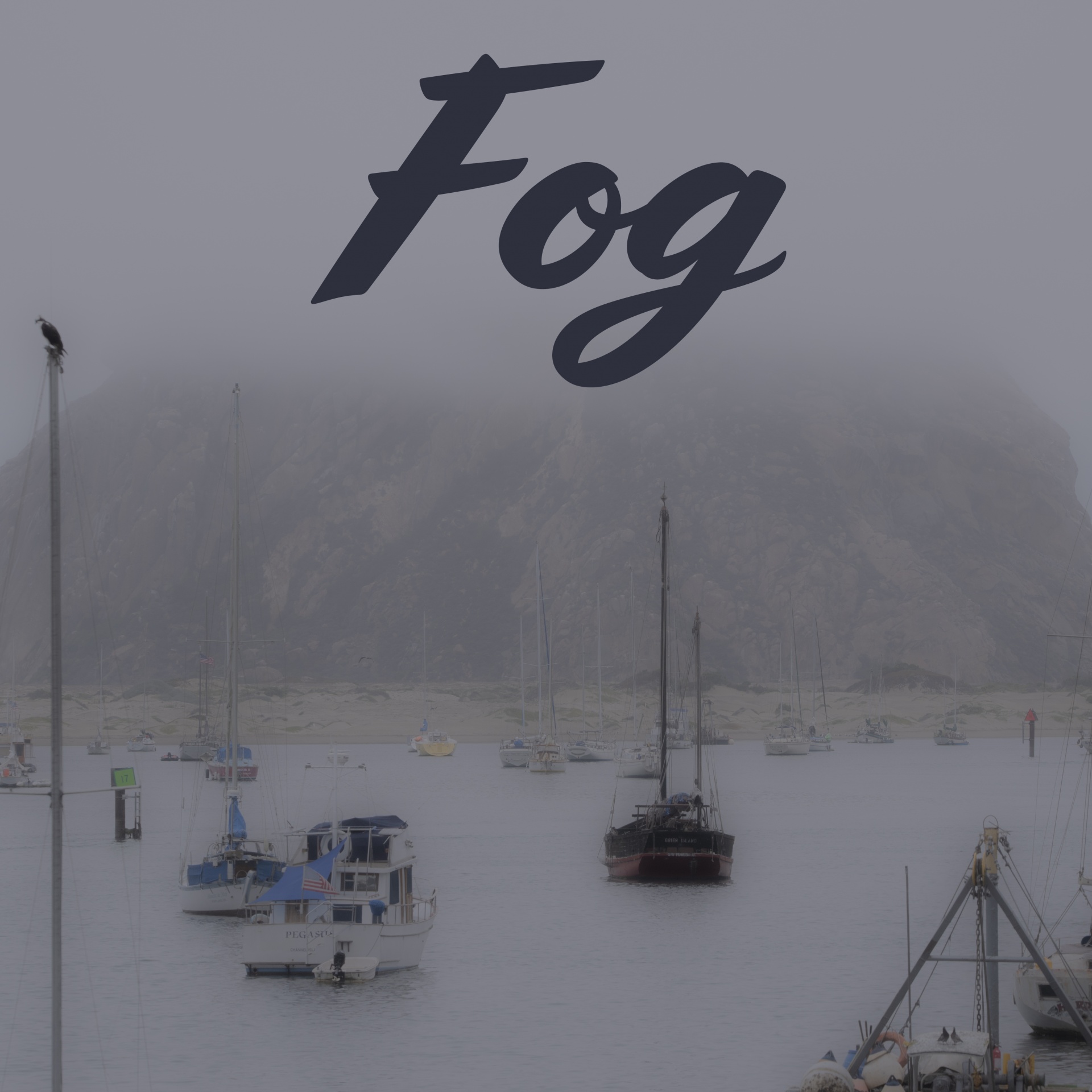 In A Fog